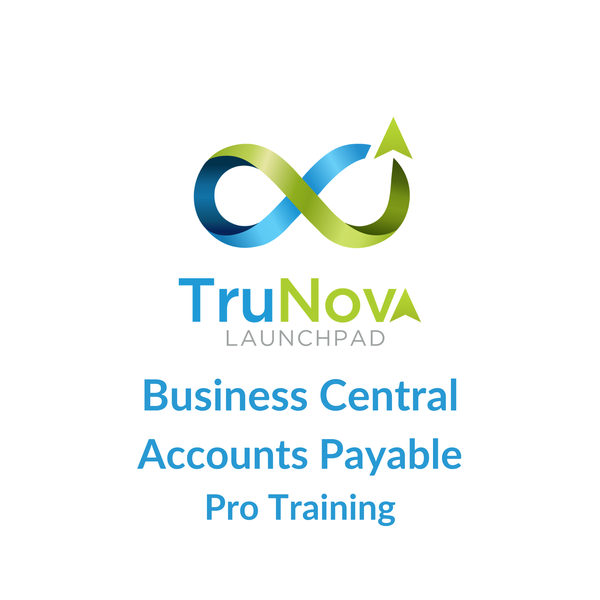 Business Central Accounts Payable Pro Training