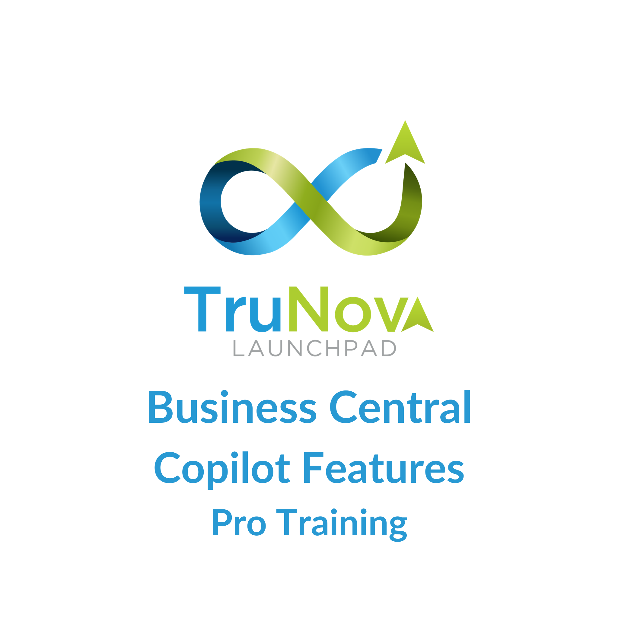 Business Central Copilot Features Pro Training