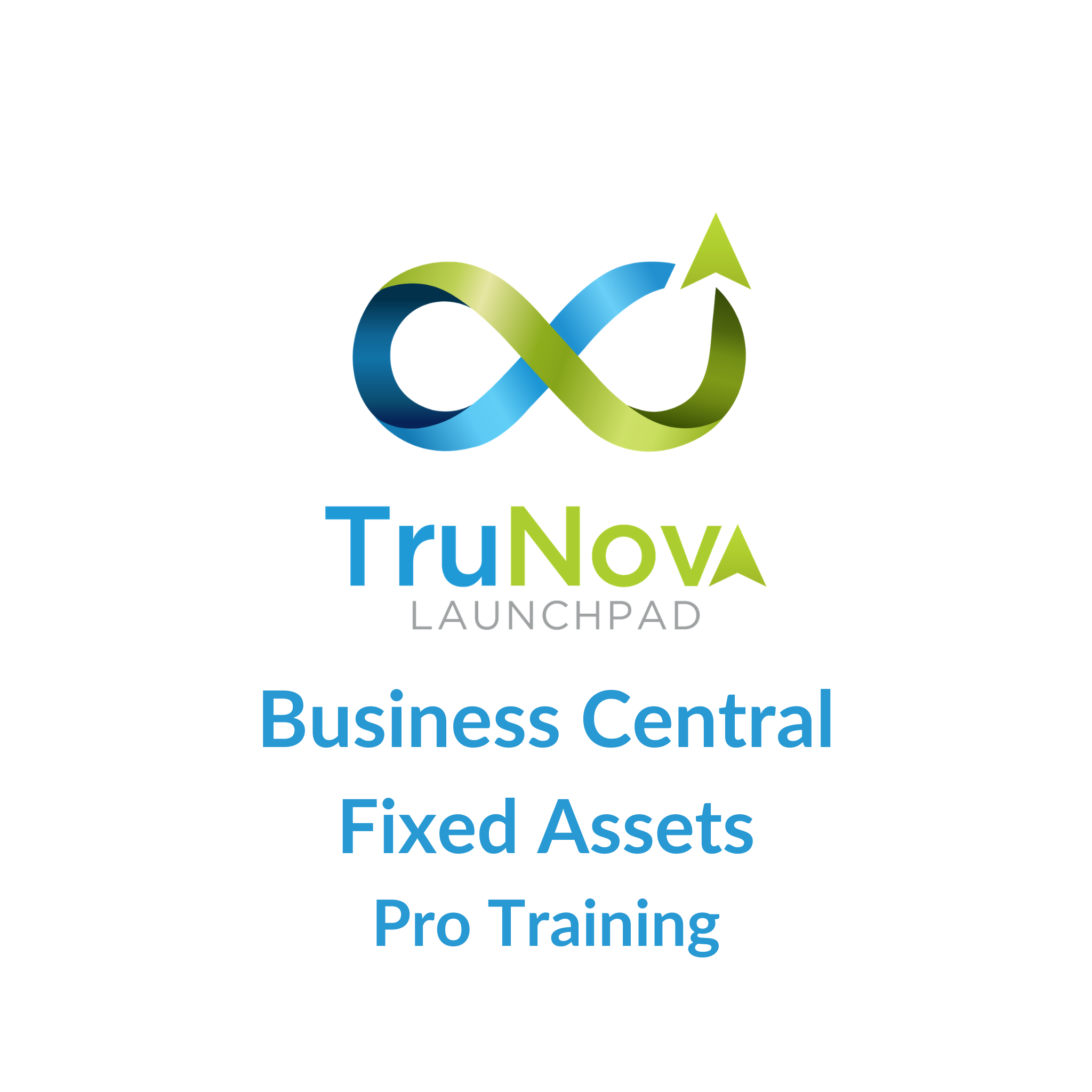 Business Central Fixed Assets Pro Training