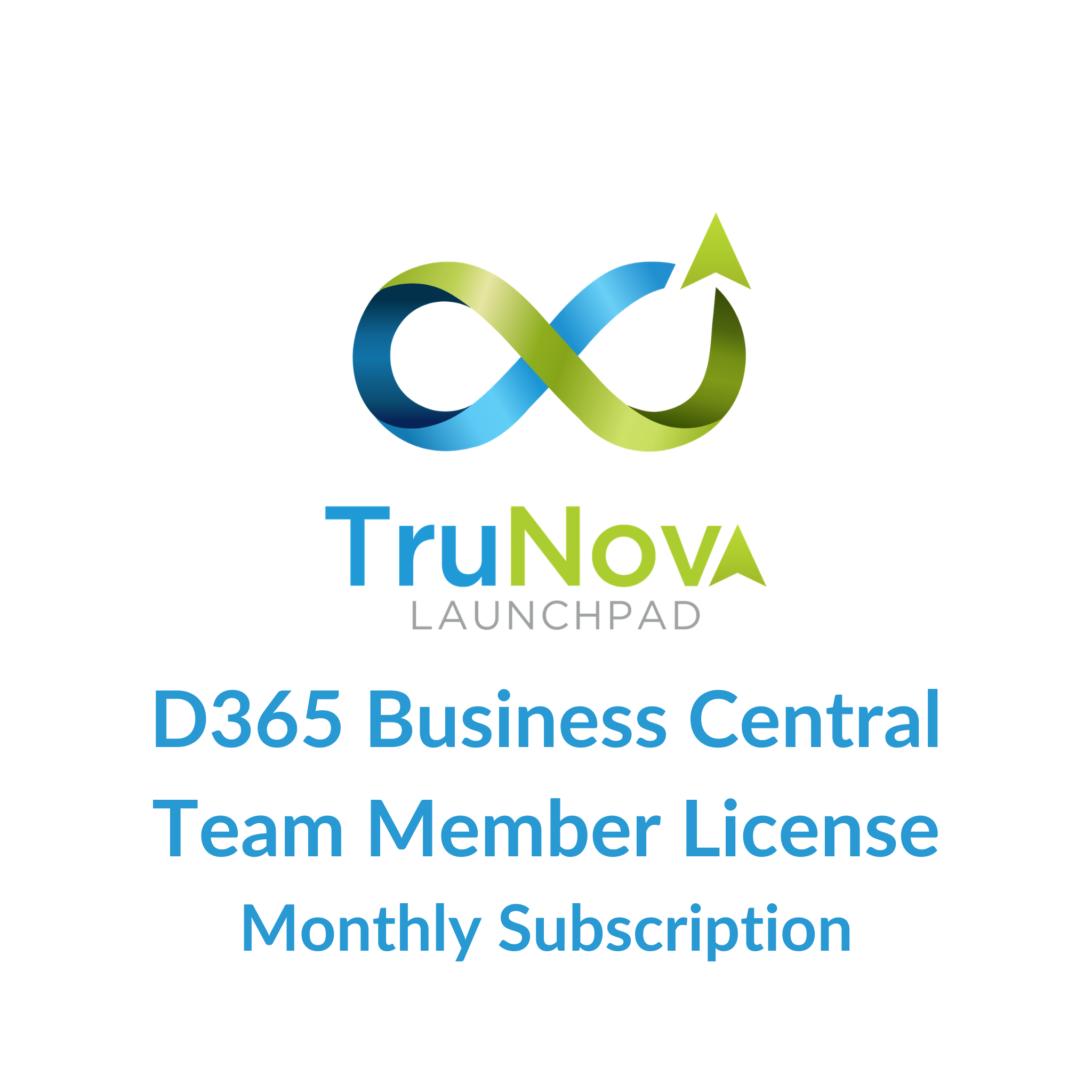 Dynamics 365 Business Central Team Members License - Monthly Subscription